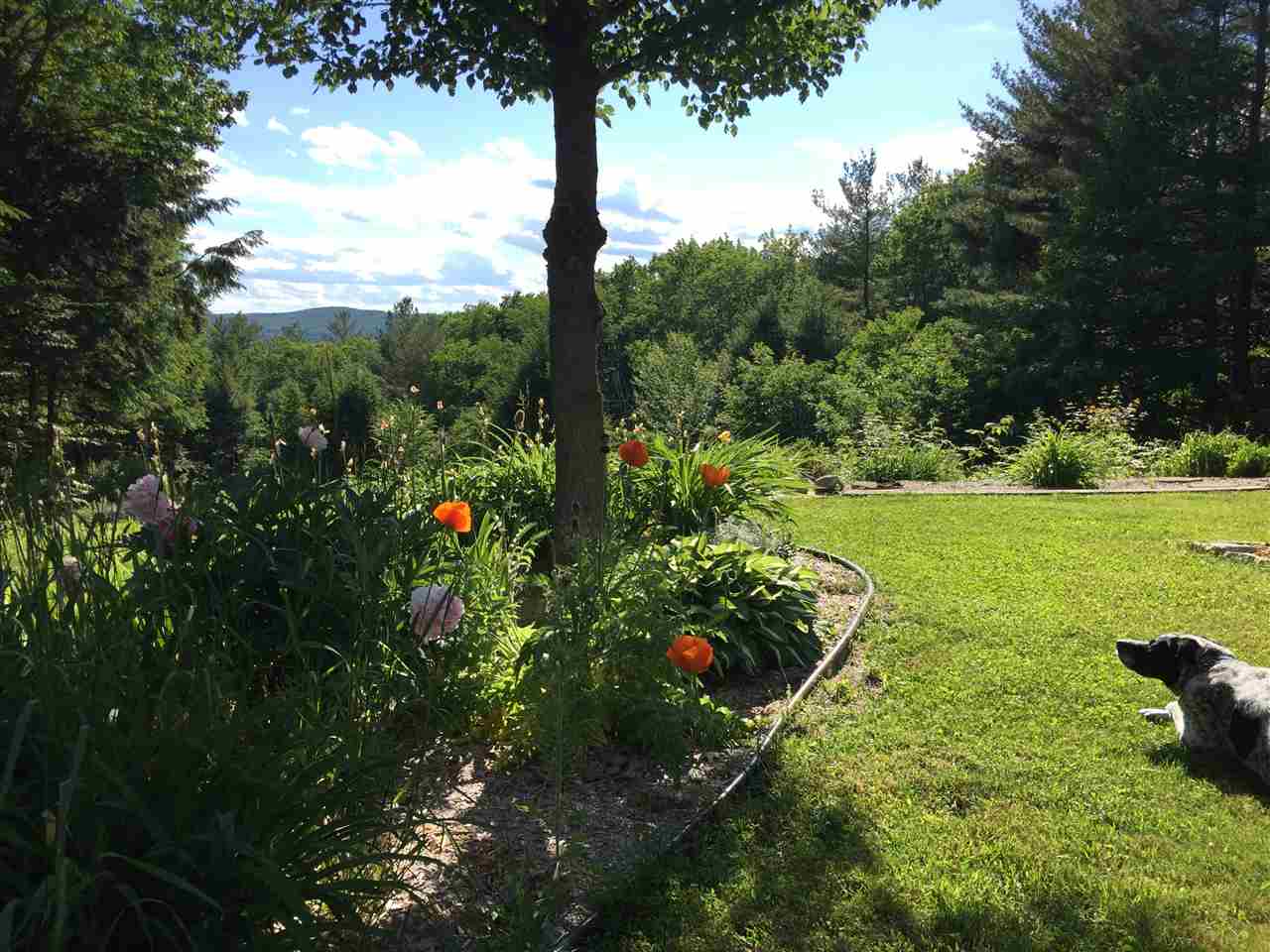 667 Roxbury Road Keene, NH 03431 - Photo 33 of 40 Gallery Image 33