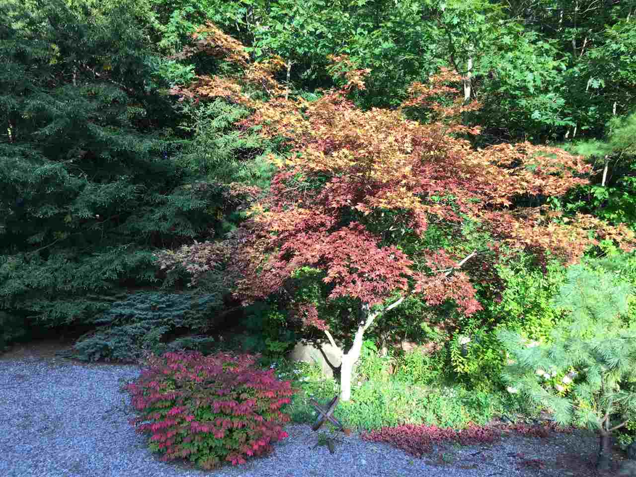 667 Roxbury Road Keene, NH 03431 - Photo 36 of 40 Gallery Image 36