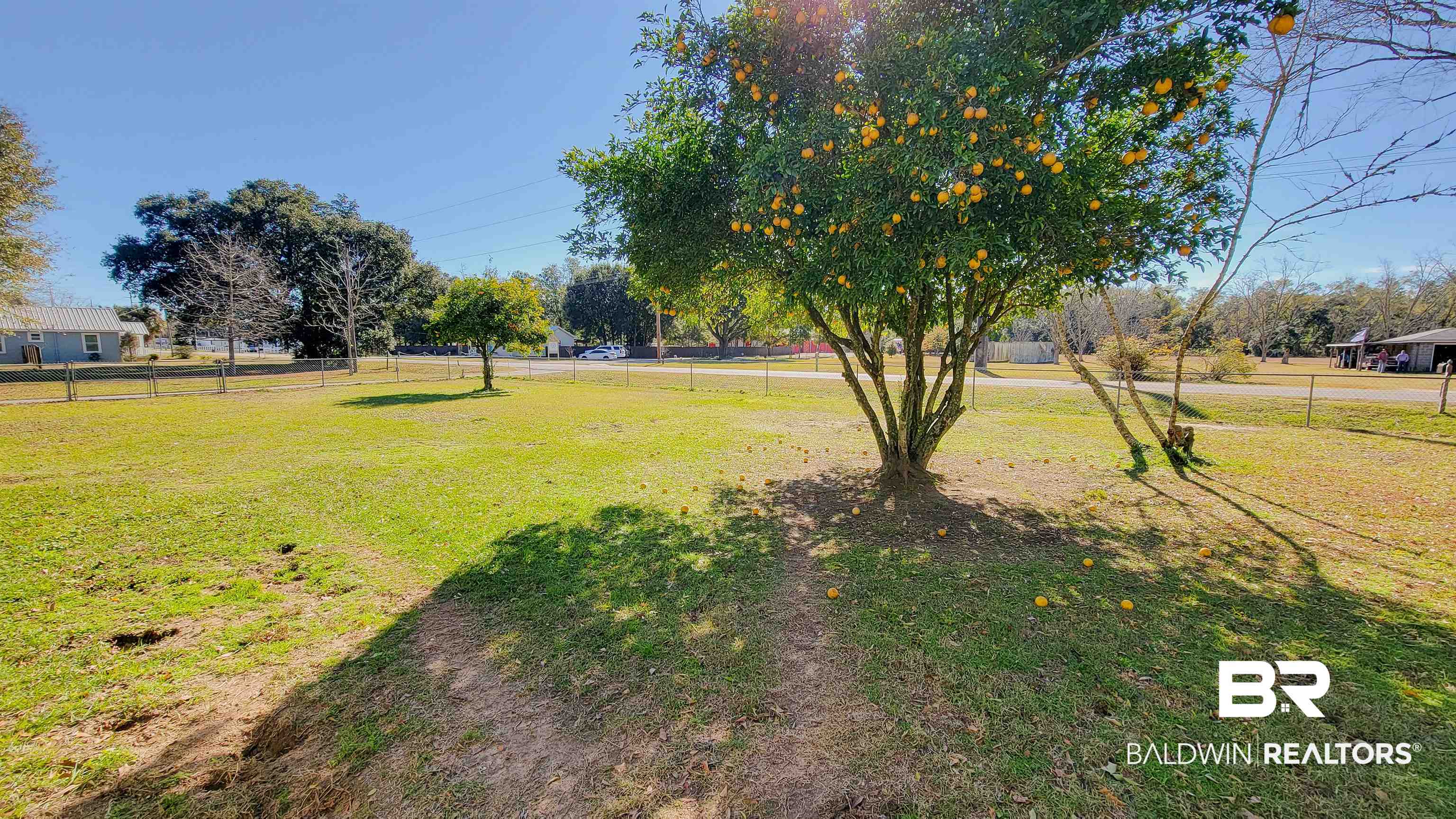 19365 Keller Road Foley, AL 36535 - Photo 28 of 41 View of yard