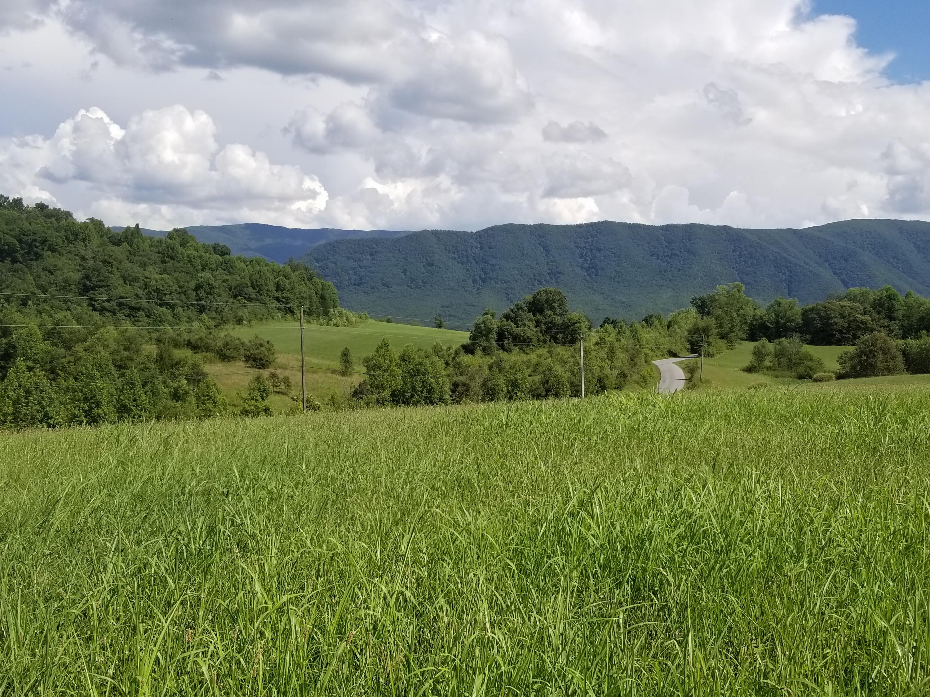 Lot 41 Tabor Road Greeneville, TN 37743 - Photo 2 of 11 20200709_164146