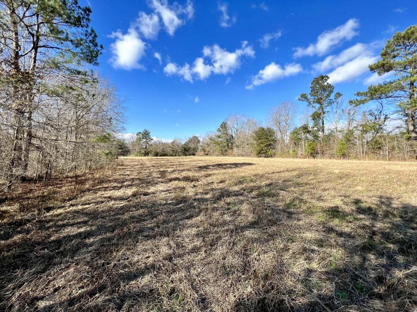 643 Dennis Ridge Road Bonneau, SC 29431 - Photo 3 of 7 b