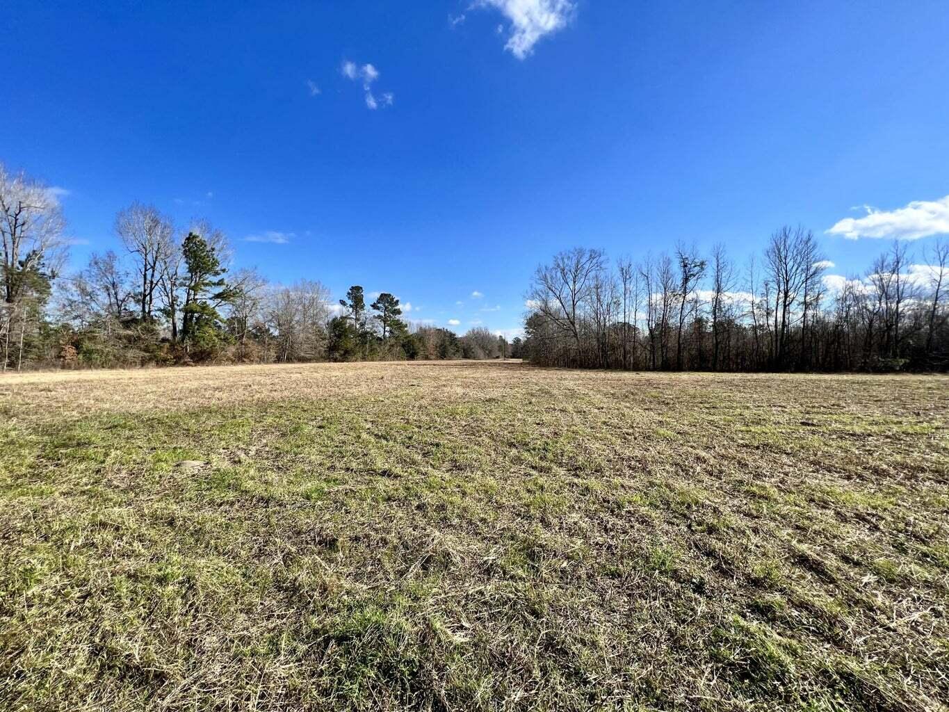 643 Dennis Ridge Road Bonneau, SC 29431 - Photo 6 of 7 c