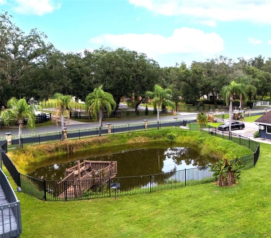 7905 Pierce Harwell Road Plant City, FL 33565 - Photo 62 of 68 a view of a swimming pool with a patio