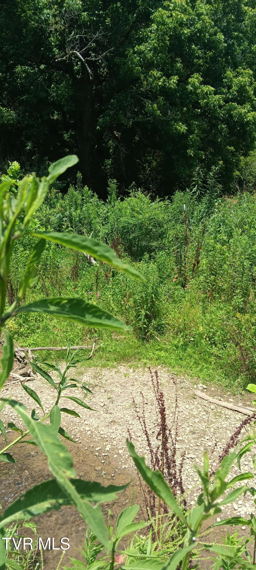 Tbd Boring Chapel Road Johnson City, TN 37615 - Photo 6 of 12 1000032999