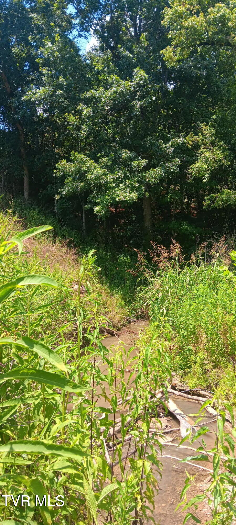 Tbd Boring Chapel Road Johnson City, TN 37615 - Photo 7 of 12 1000032998