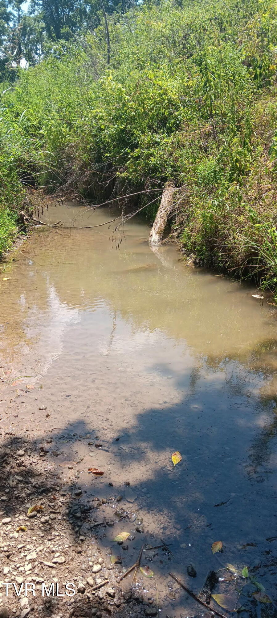 Tbd Boring Chapel Road Johnson City, TN 37615 - Photo 8 of 12 1000033000