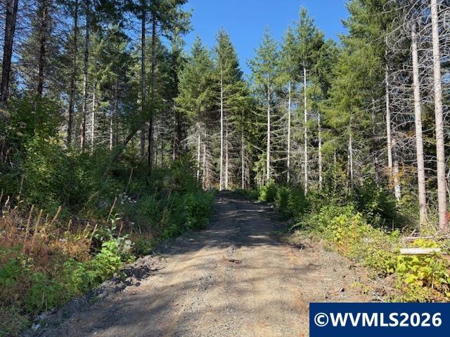 0 Van Horn Road Alsea, OR 97324 - Photo 16 of 16