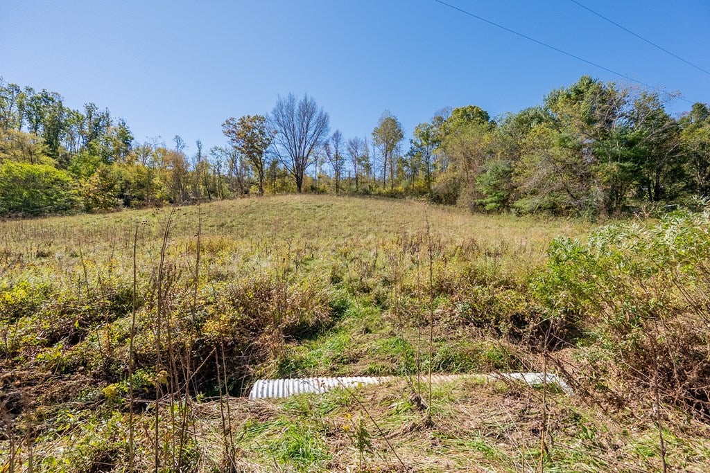 4-acres Carsonville Road Independence, VA 24348 - Photo 13 of 42 Gallery Image 13