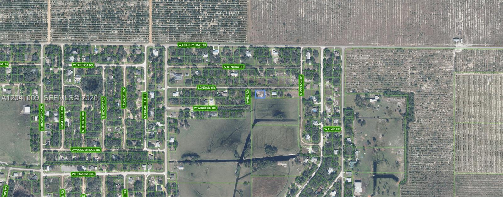 2617 London Road Avon Park, FL 33825 - Photo 3 of 4