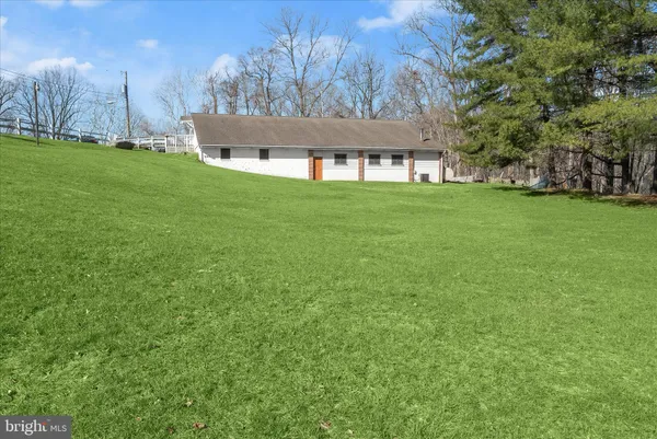 a view of a backyard with large trees