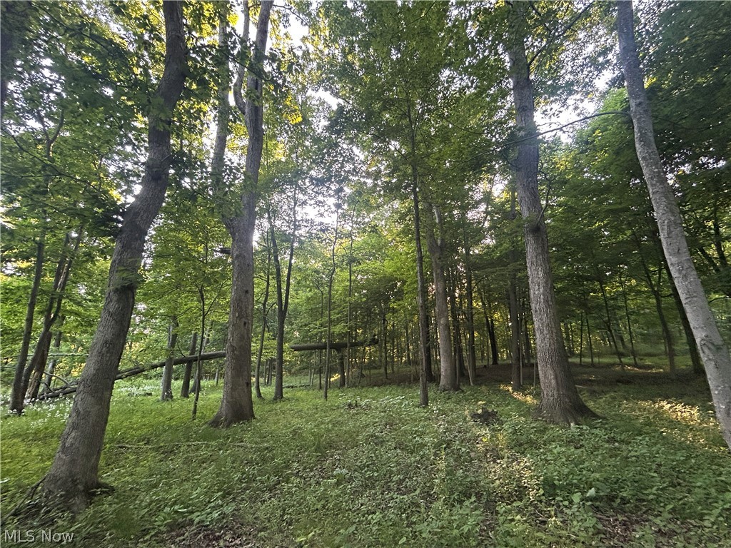 12929 Pleasant Valley Road Northeast Utica, OH 43080 - Photo 29 of 47