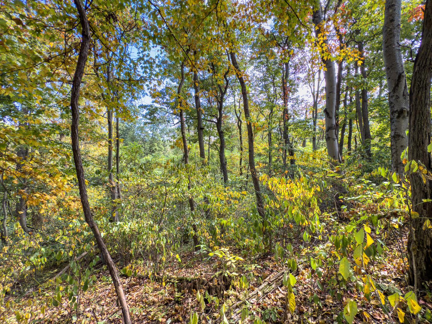 4 Perry Ridge Road Wilkesville, OH 45695 - Photo 7 of 12 Perry Ridge Rd; 2.5 ac-3370