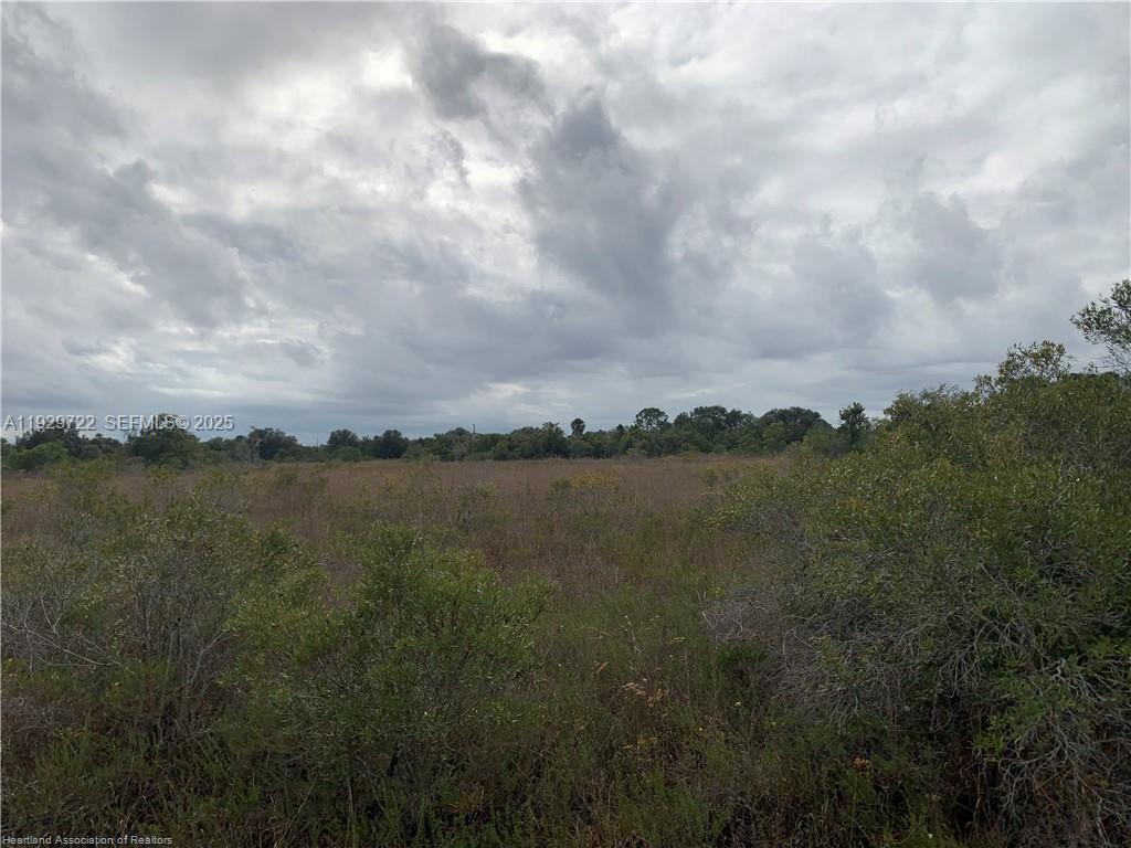 16122 Northwest 318th Street Okeechobee, FL 34972 - Photo 11 of 13 a view of lake with green space