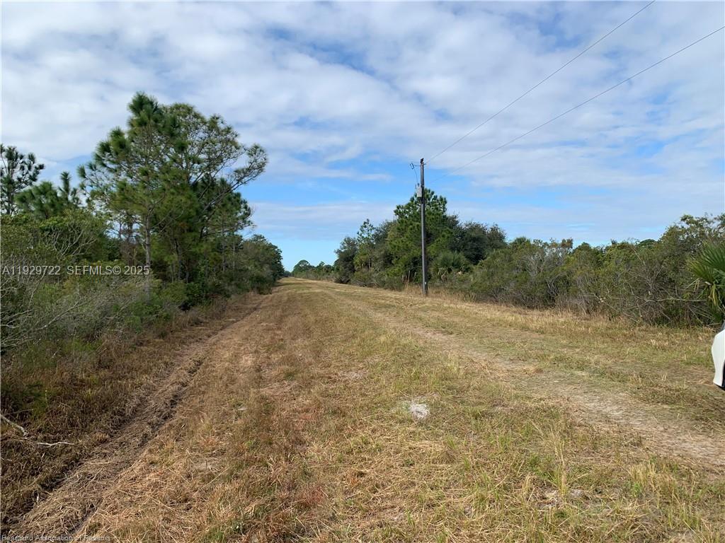 16122 Northwest 318th Street Okeechobee, FL 34972 - Photo 13 of 13 a view of a dry yard with trees