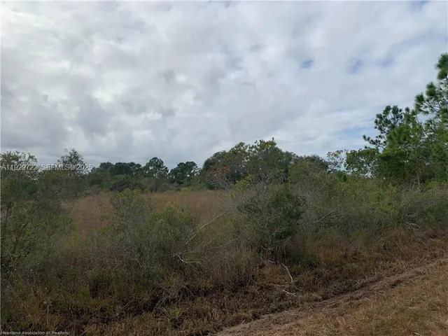 a view of a dry yard with lots of green space