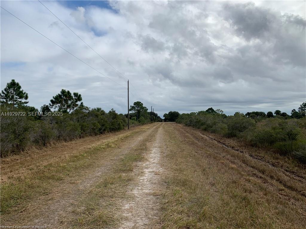16122 Northwest 318th Street Okeechobee, FL 34972 - Photo 5 of 13 a view of a dry yard with lots of green space