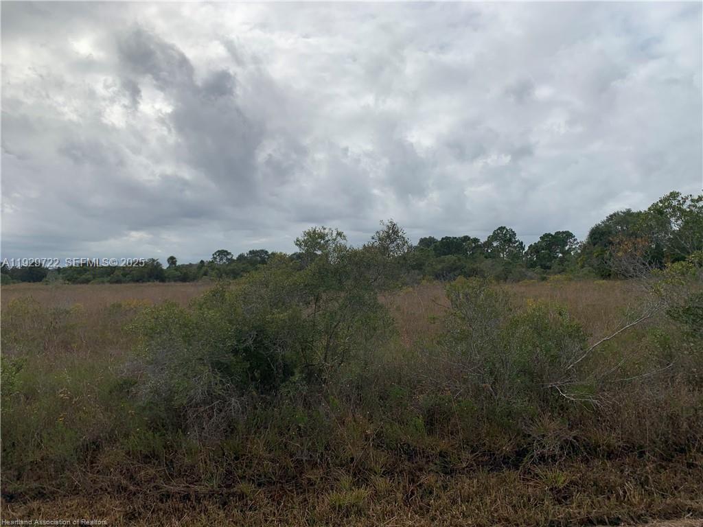 16122 Northwest 318th Street Okeechobee, FL 34972 - Photo 7 of 13 a view of lake with green space