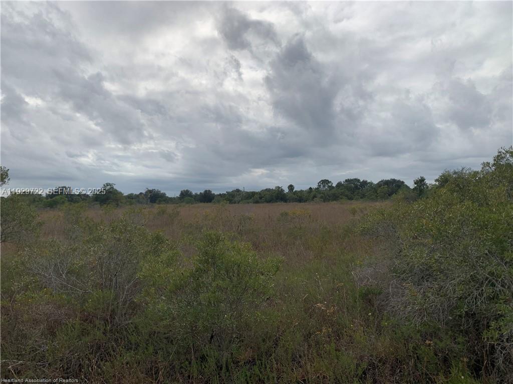 16122 Northwest 318th Street Okeechobee, FL 34972 - Photo 8 of 13 a view of lake with green space