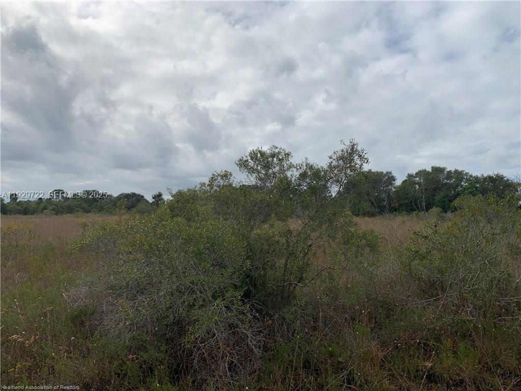 16122 Northwest 318th Street Okeechobee, FL 34972 - Photo 10 of 13 a view of lake with green space