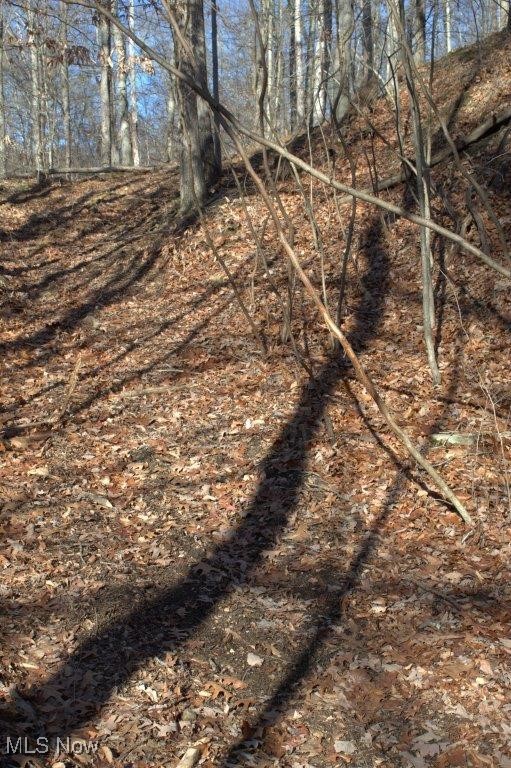 72152 Bates Road Kimbolton, OH 43749 - Photo 5 of 22 View of landscape