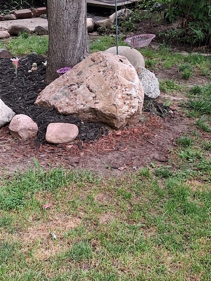 956 Prairie Creek Road Ionia, MI 48846 - Photo 23 of 68