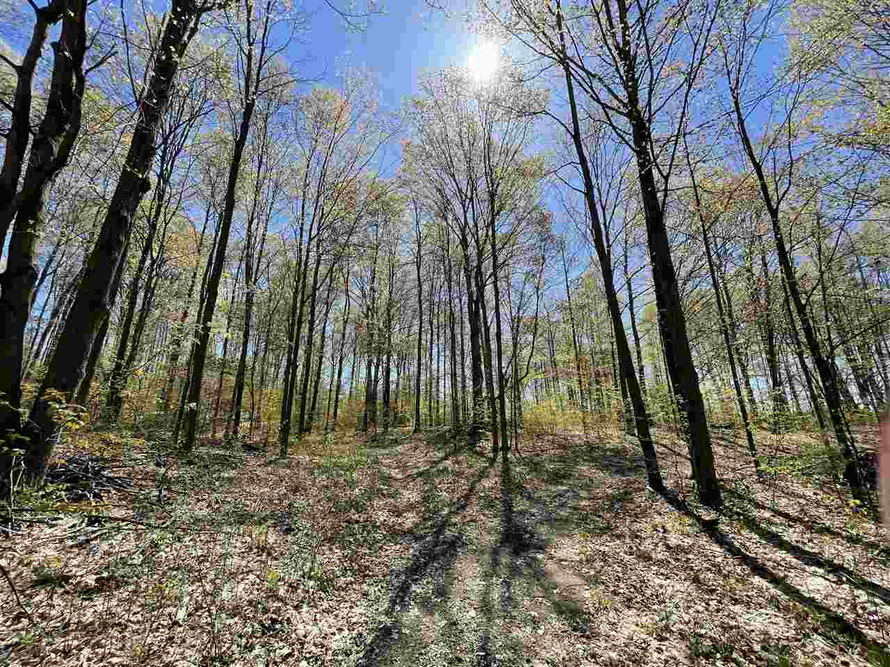 10-acres Inman Road Southwest Fife Lake, MI 49633 - Photo 13 of 32 Gallery Image 13