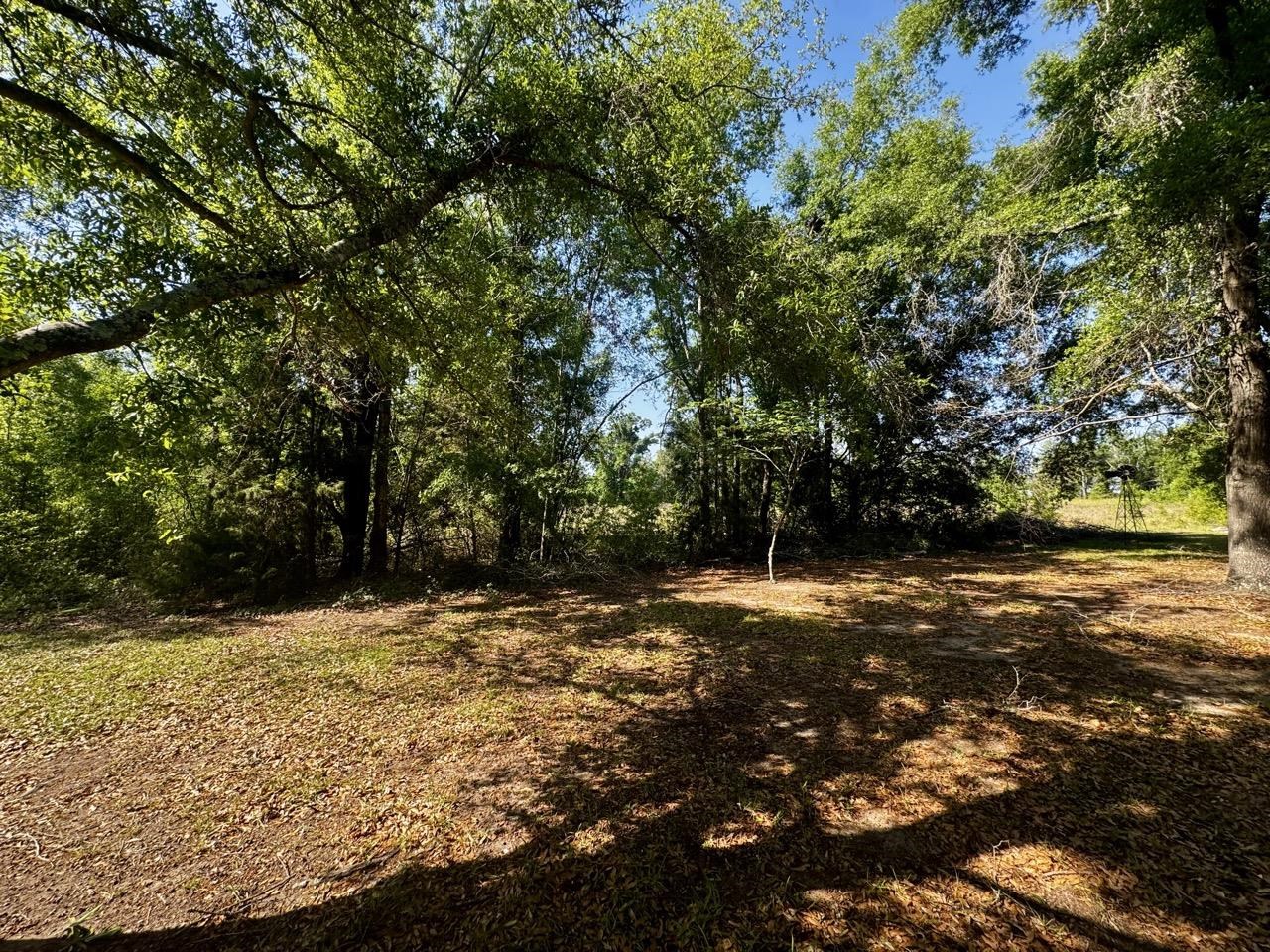 496 Centaury Way Lee, FL 32059 - Photo 11 of 43