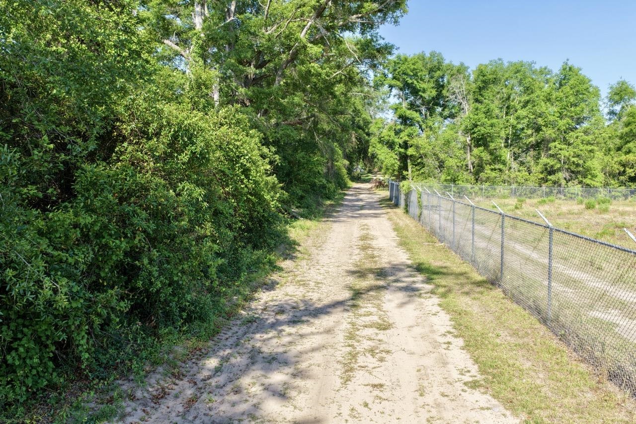 496 Centaury Way Lee, FL 32059 - Photo 20 of 43