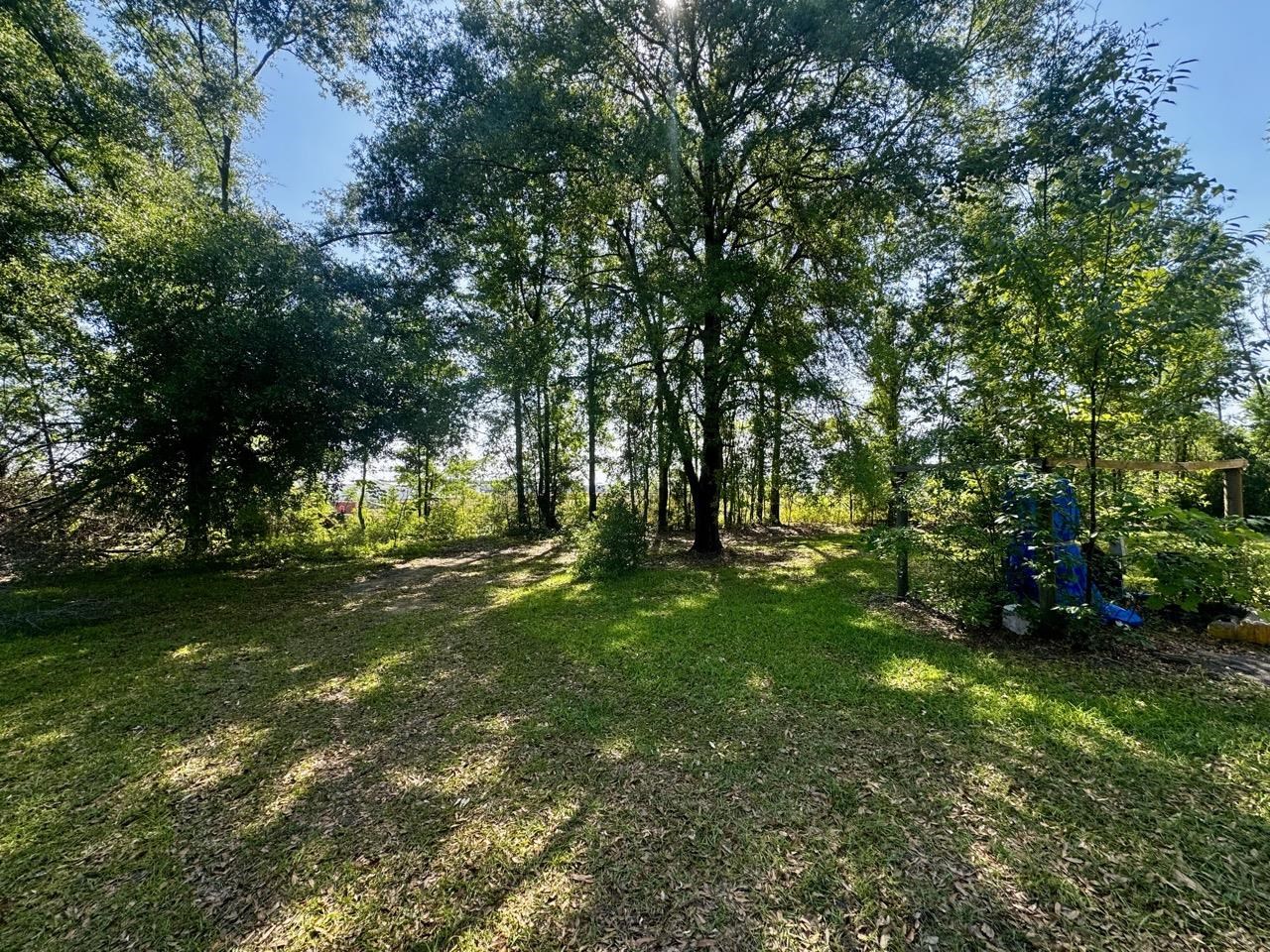 496 Centaury Way Lee, FL 32059 - Photo 2 of 43