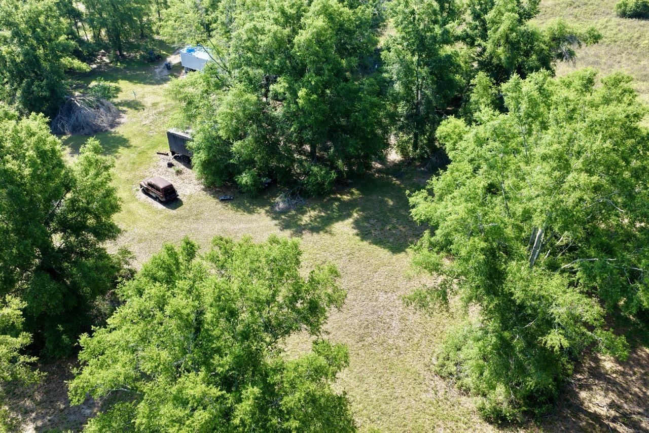 496 Centaury Way Lee, FL 32059 - Photo 24 of 43