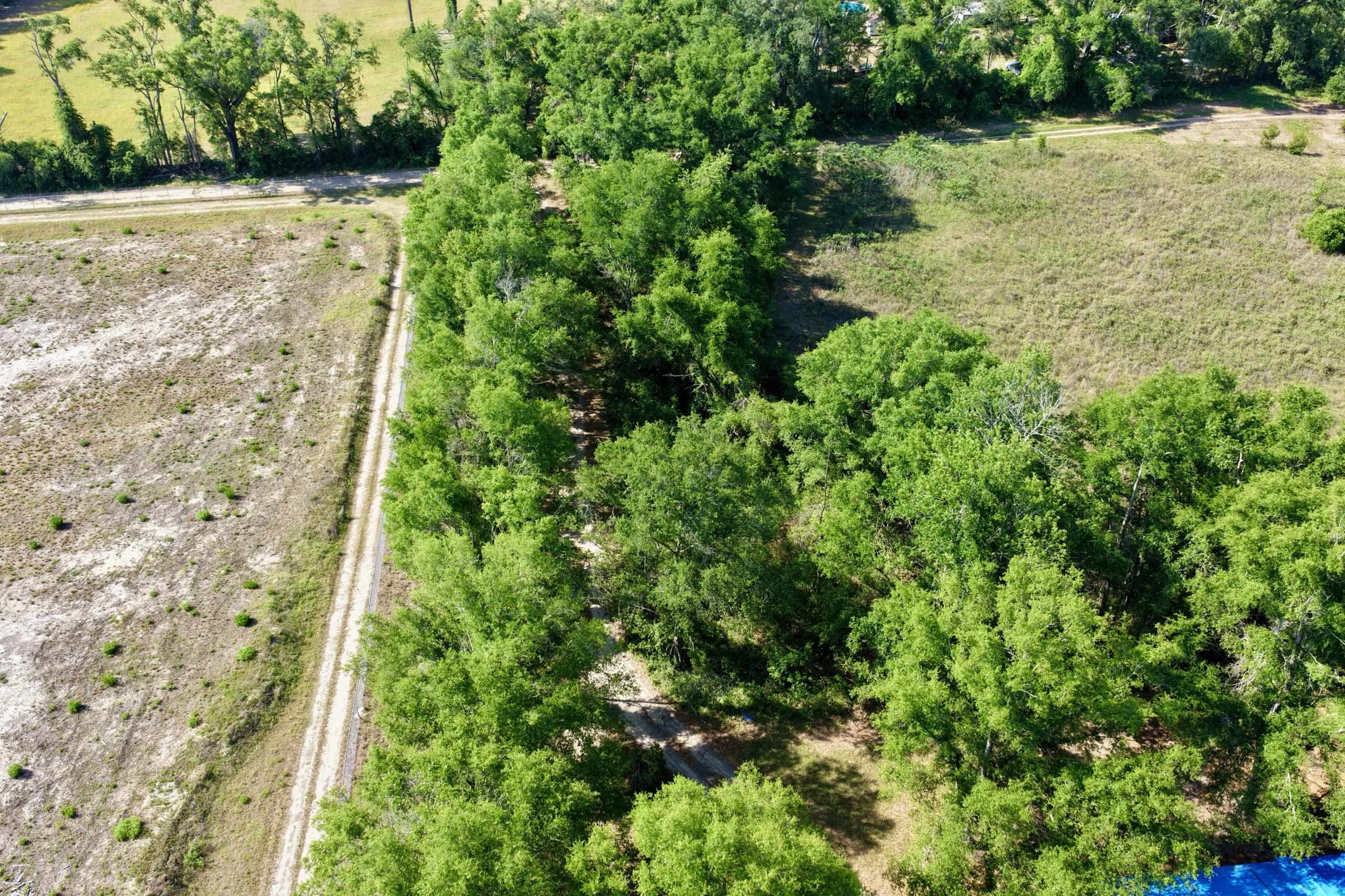 496 Centaury Way Lee, FL 32059 - Photo 30 of 43
