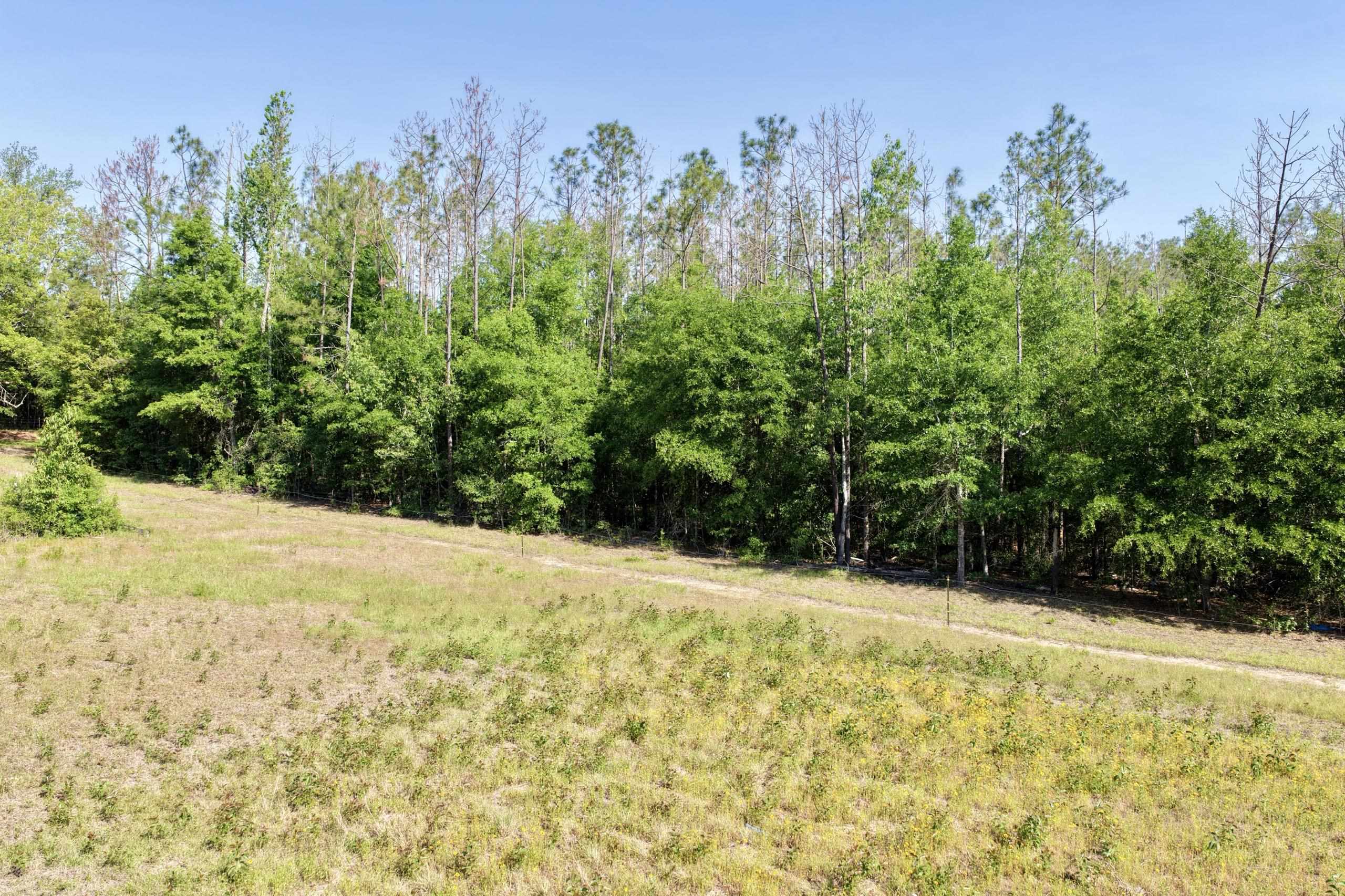 496 Centaury Way Lee, FL 32059 - Photo 6 of 43