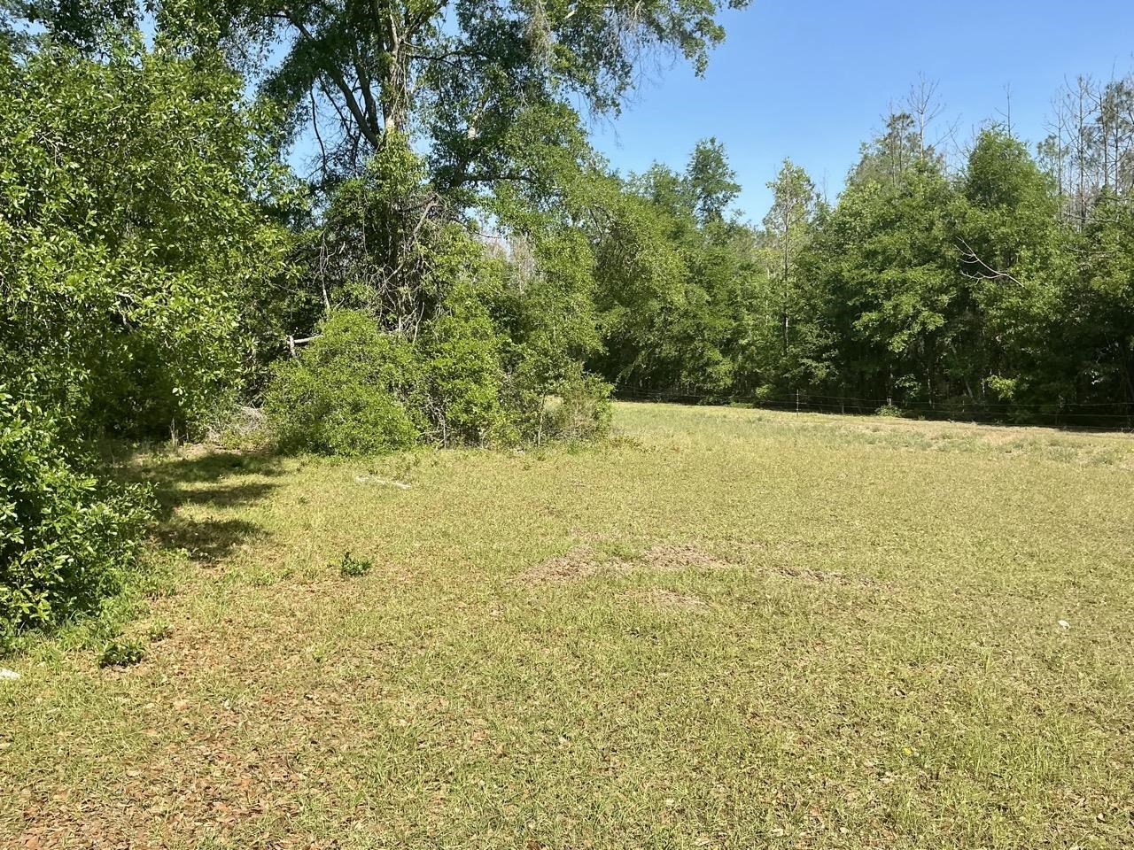 496 Centaury Way Lee, FL 32059 - Photo 7 of 43