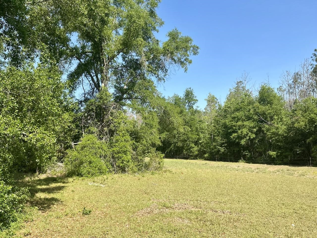 496 Centaury Way Lee, FL 32059 - Photo 8 of 43