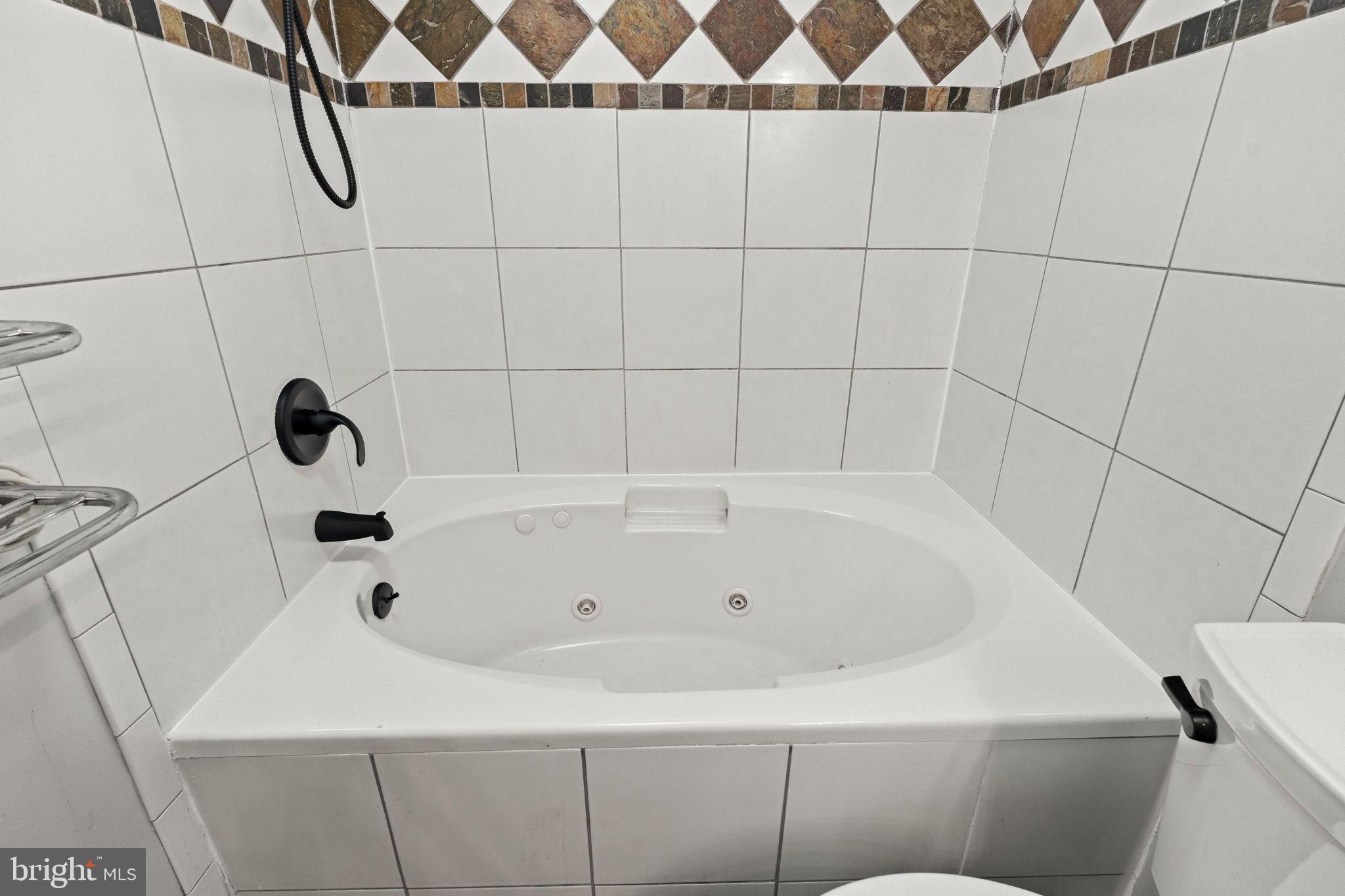 11849B Academy Road, Unit C4 Philadelphia, PA 19154 - Photo 17 of 30 Elegant spa-like retreat with modern tub.