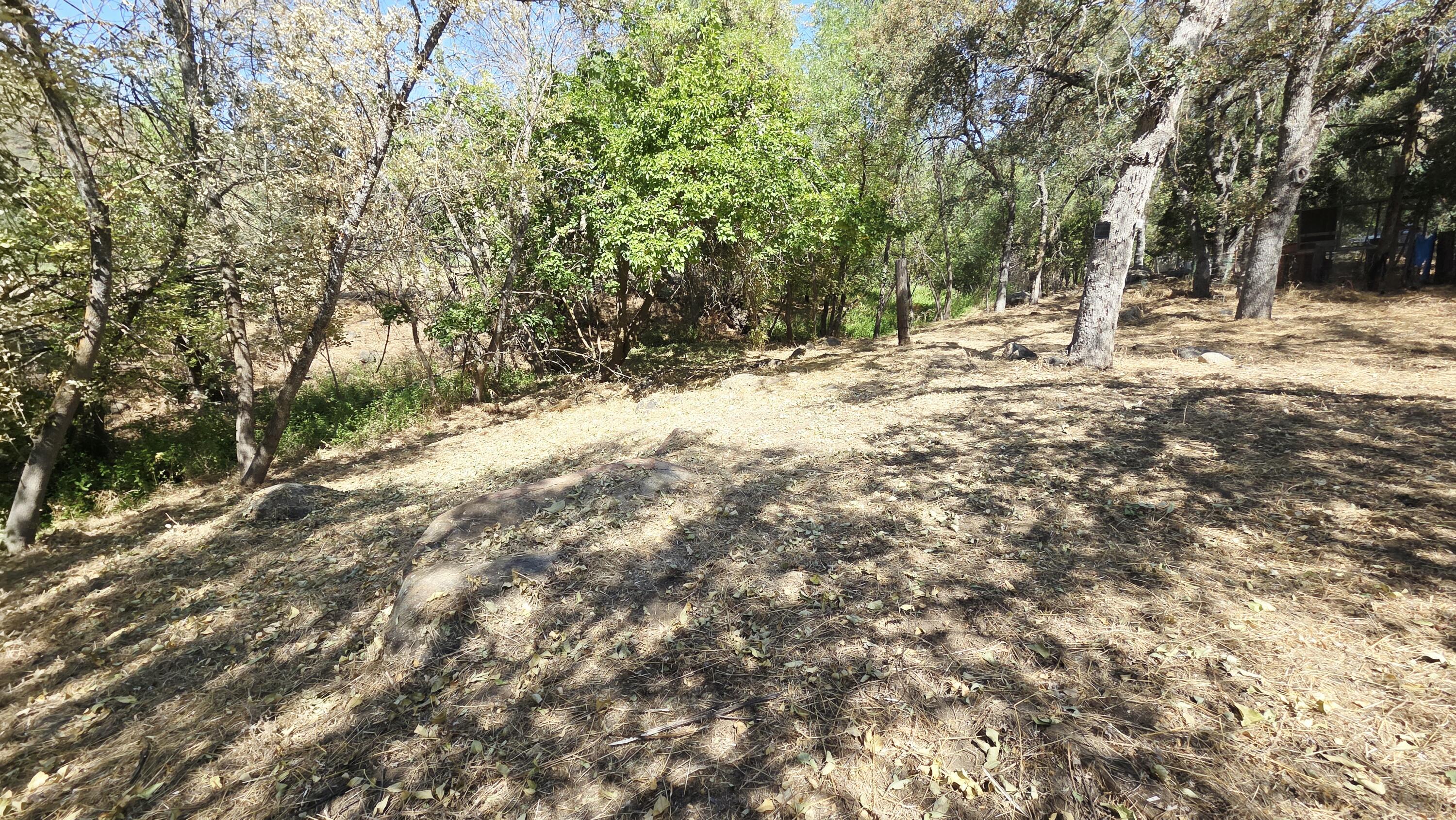 37647 Rio Vista Road Springville, CA 93265 - Photo 20 of 40 20260719_102213