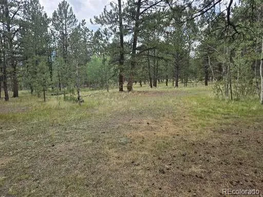 $610,000 | 131 Hitchrack Road, Bailey, CO 80421