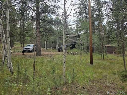 131 Hitchrack Road Bailey, CO 80421 - Photo 3 of 22 a view of two chairs in a yard