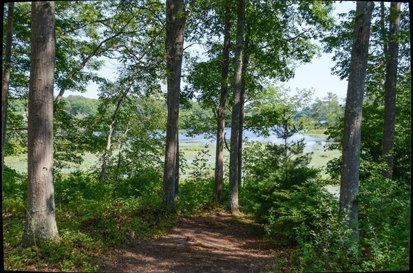 28 Camp Road Foxboro, MA 02035 - Photo 3 of 25 Gallery Image 3