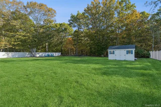 a view of a garden with a tree