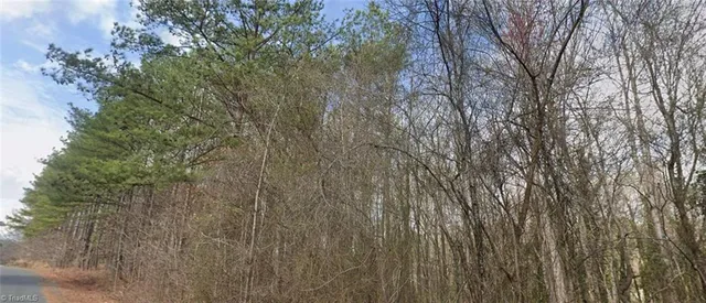 $75,000 | 0 Pine Tree Place, Salisbury, NC 28144