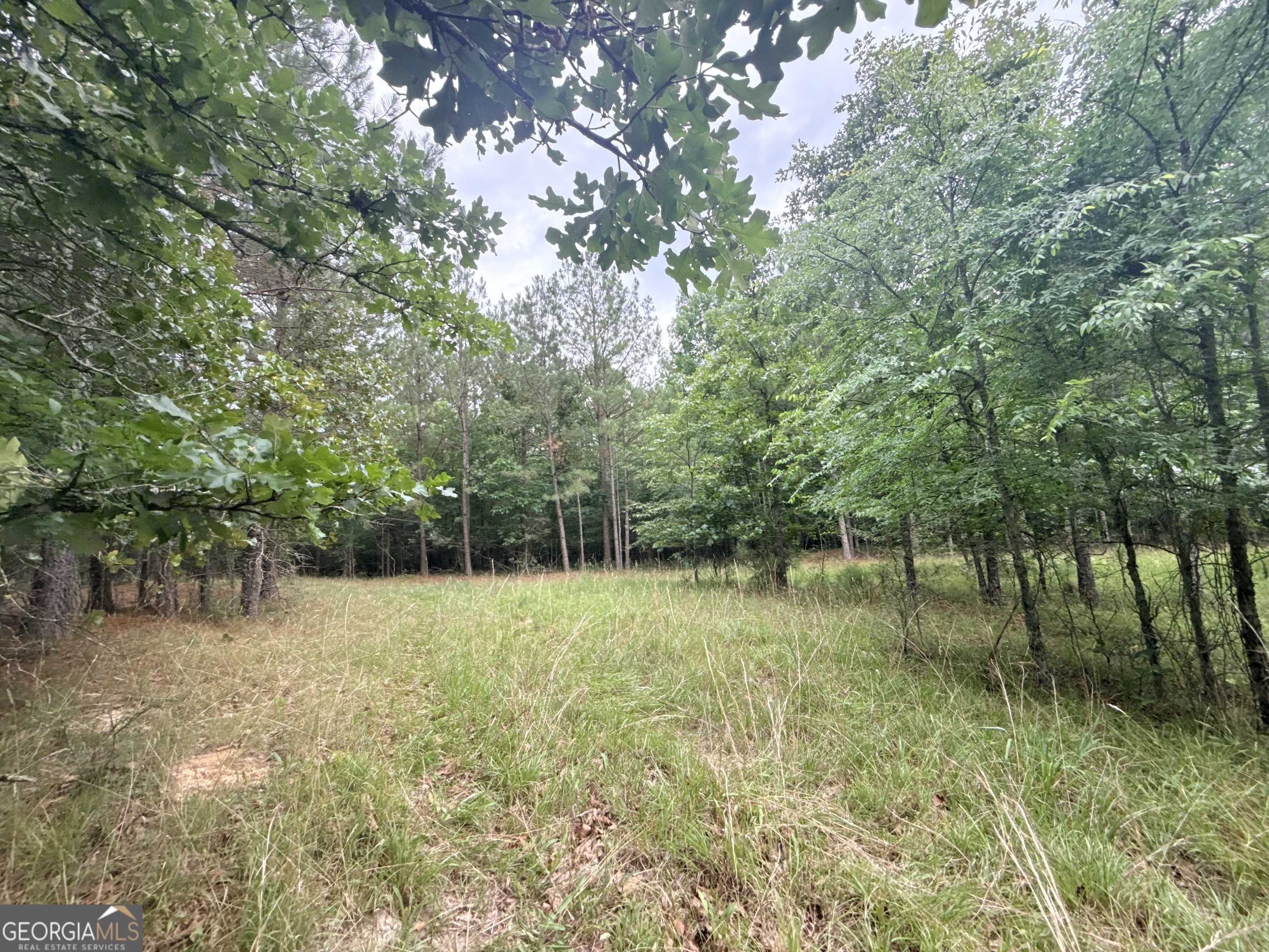 3 Bethesda Church Road Lexington, GA 30648 - Photo 60 of 60