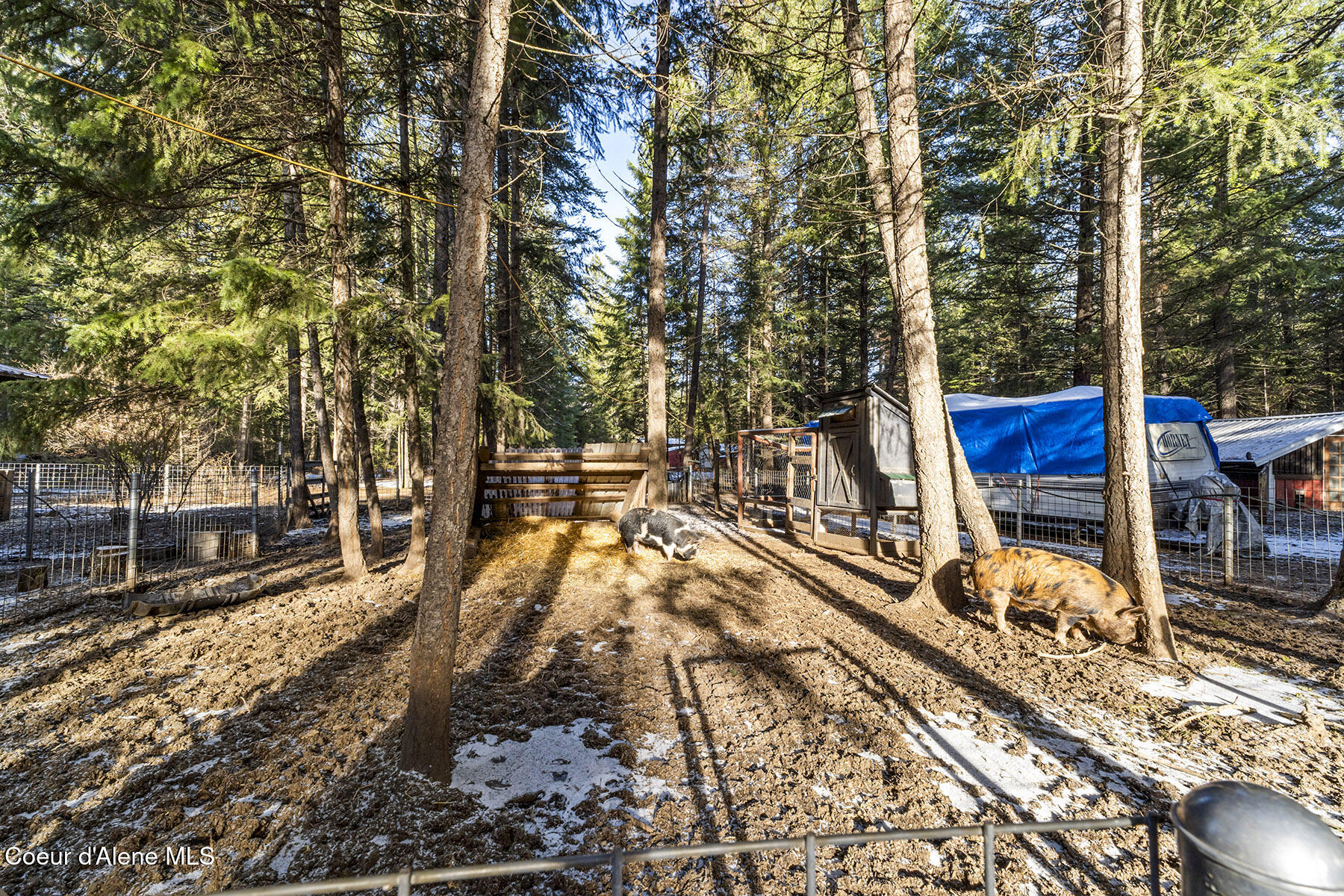 13757 North Idaho Road Rathdrum, ID 83858 - Photo 30 of 48 Fenced Pig Sty