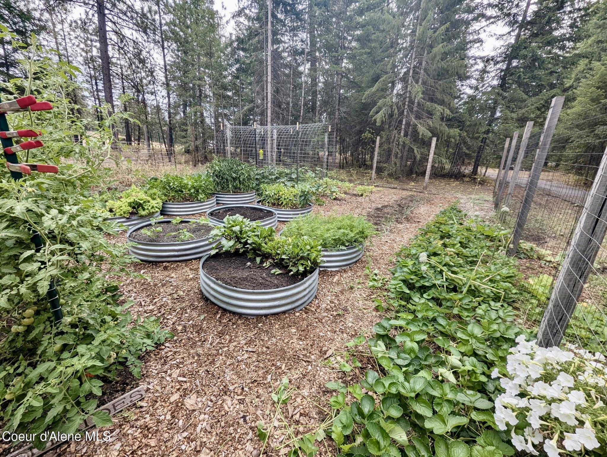 13757 North Idaho Road Rathdrum, ID 83858 - Photo 39 of 48 Garden *summer 2