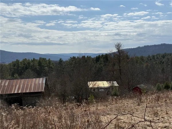 $99,000 | 386 High Bridge Road, Guilford, NY 13809