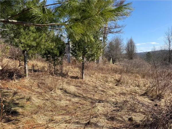 $99,000 | 386 High Bridge Road, Guilford, NY 13809