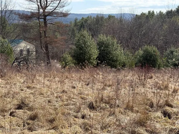 $99,000 | 386 High Bridge Road, Guilford, NY 13809