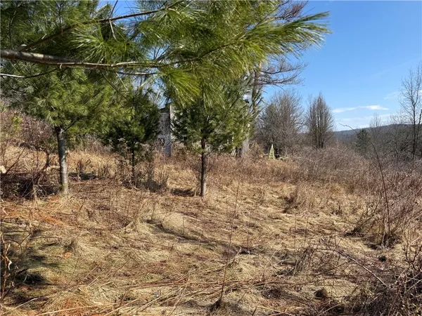 $99,000 | 386 High Bridge Road, Guilford, NY 13809