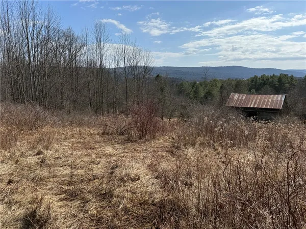 $99,000 | 386 High Bridge Road, Guilford, NY 13809