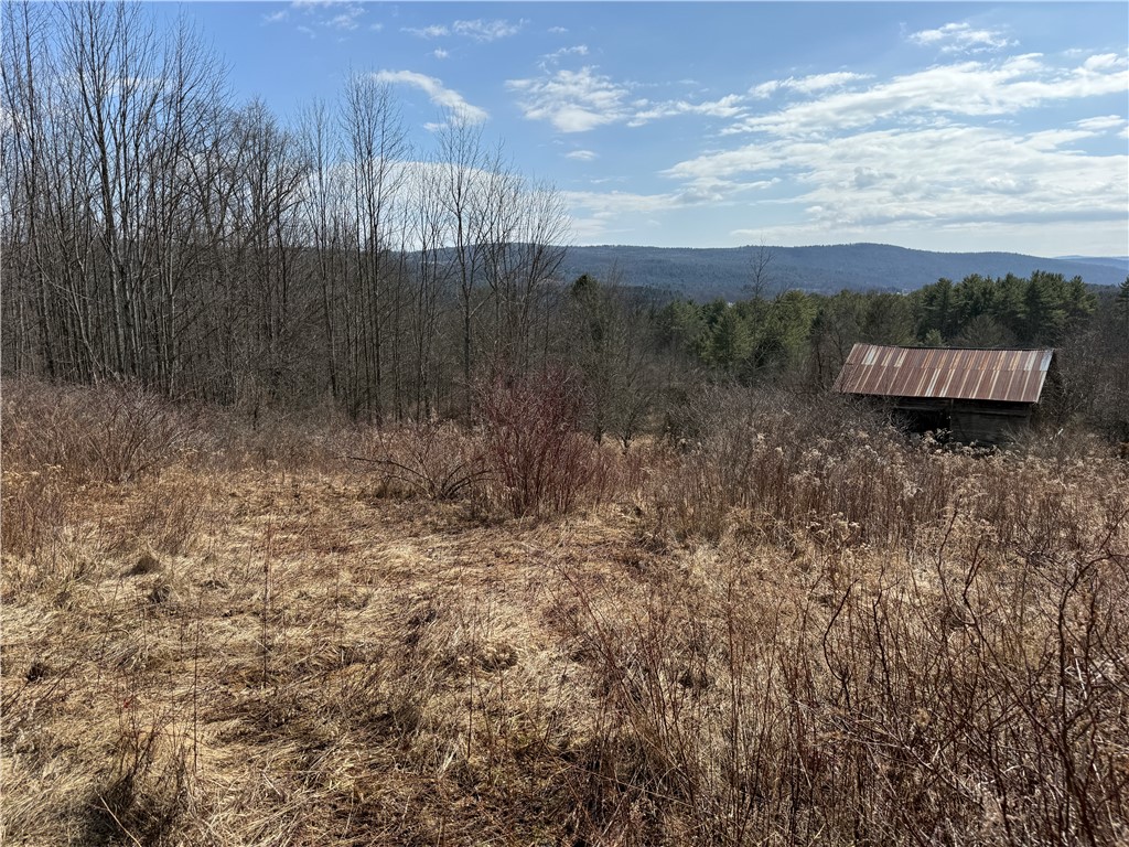 386 High Bridge Road Guilford, NY 13809 - Photo 35 of 40